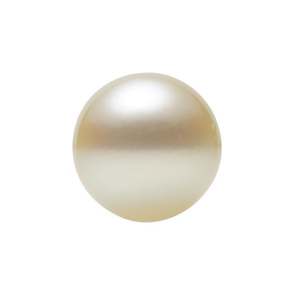 Morská perla biela okrúhla 4 mm nevrtané MPR1AAW-4