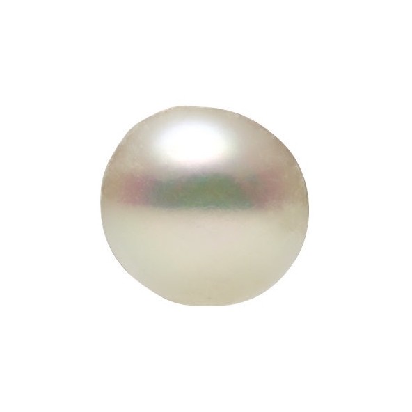 Seed perla half Button 2,5 mm  SPW1SW-2,5