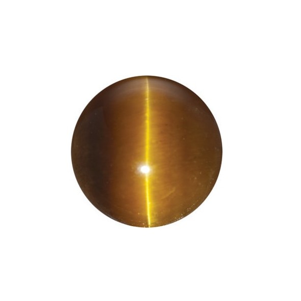 Tigrie oko okrúhly 2,86 2,65ct Kabošon TORKSBR-10
