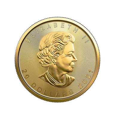 Investičná zlatá minca 12 oz  Maple leaf 20 dollars 04102202-21
