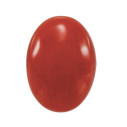 Korál červený ovál 7 x 5 mm, Standard, Kabošon