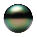Tahitská perla fancy gray okrúhly 10 mm, A, nevrtané