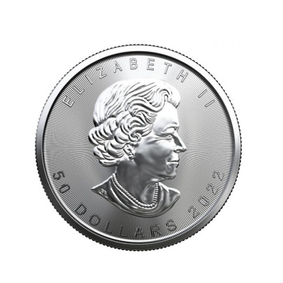 Investičná platinová minca 1 oz  Maple leaf 50 dollars 04302201-22 2