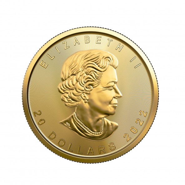 Investičná zlatá minca 12 oz  Maple leaf 20 dollars 04102202-22