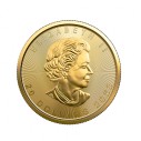 Investičná zlatá minca 1/2 oz  Maple leaf 20 dollars