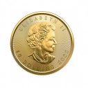 Investičná zlatá minca 14 oz  Maple leaf 10 dollars 04102203-22