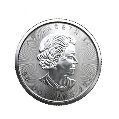 Investičná platinová minca 1 oz  Maple leaf 50 dollars 04302201-22 2