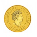 Investičná zlatá minca 1/10 oz Kangaroo 15 Dollars
