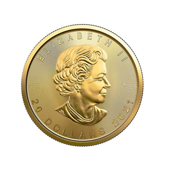 Investičná zlatá minca 12 oz  Maple leaf 20 dollars 04102202-21