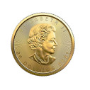 Investičná zlatá minca 1/2 oz  Maple leaf 20 dollars