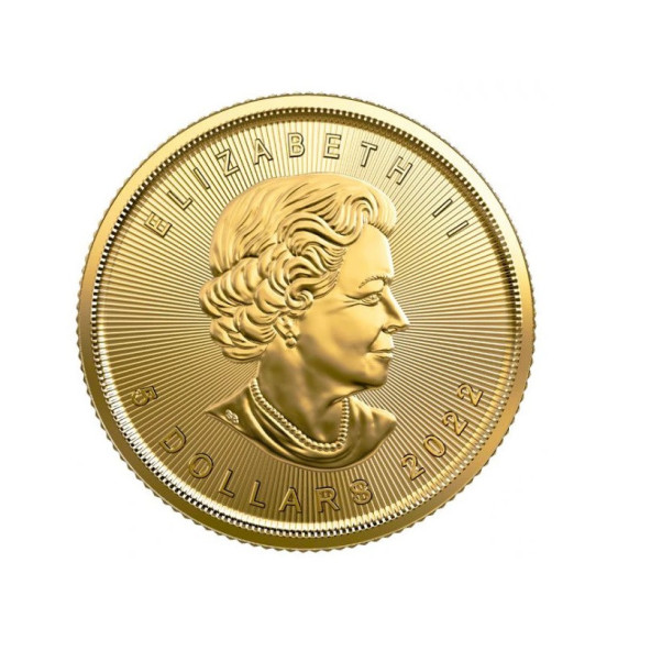 Investičná zlatá minca 110 oz  Maple leaf 5 dolars 04102204-22