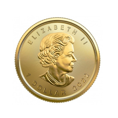 Investičná zlatá minca 120 oz  Maple leaf 1 dolars 04103045-22