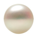 Sladkovodná perla biela button 10 x 10,9 mm, Standard, Half-drilled